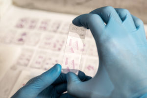 MICROBIOLOGIA CLASSICA