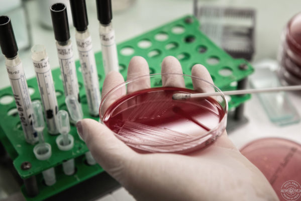 28 La Microbiologia fornisce il supporto nella ricercadei patogeni responsabili delle infezioni fornendopotenzialità diagnostiche atte a fornire, ovepossibile, sia le indicazioni per la realizzazionedi una terapia mirata delle malattie da infezionesia per la messa a punto di adeguate strategie diprevenzione.L’individuazione dei microrganismi trattatimediante tecniche colturali permette lacompilazione di precisi antibiogrammi edantimicogrammi che eviteranno l’insorgenza diresistenze e faciliteranno il decorso della patologia.