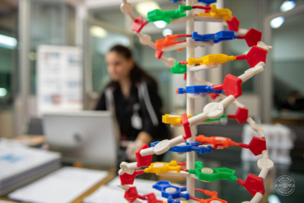 biologia-molecolare La struttura realizza servizi all’avanguardia nelcampo delle analisi genetiche, con un particolarefocus sulla medicina preventiva e predittiva.Svolgiamo attività in diverse aree della geneticae della medicina. Attraverso i nostri testsul dna ricaviamo informazioni circa la componenteereditaria che predispone all’insorgenza dialcune patologie, mentre i nostri specialisti ingenetica forense eseguono test di paternità e diidentificazione umana.Avvalendoci di ricercatori e professionistidell’ambito clinico, proponiamo anche percorsi dieducazione alimentare e suggeriamo nuovi stili divita per favorire il benessere e mantenere lo stato disalute della persona.Lo Studio opera in stretta sinergia con il laboratoriospagnolo di Lorgen, una delle più autorevoliimprese di innovazione biotecnologica in Europa.